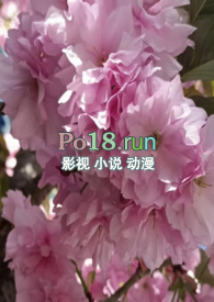 调教玩具